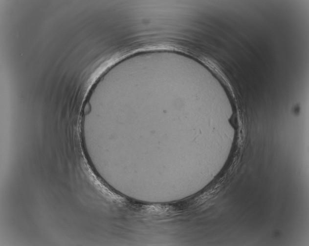 X0000115720805200912101427