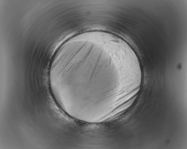 X0000115720806200912101427