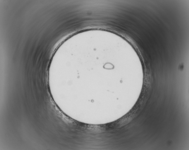 X0000115720807200912101427