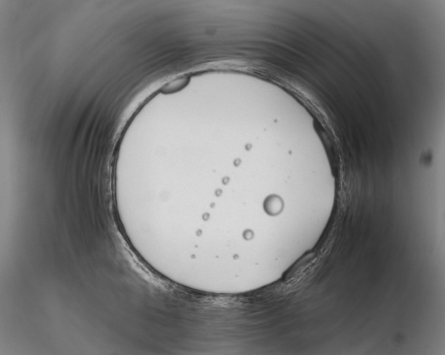 X0000115720808200912101427