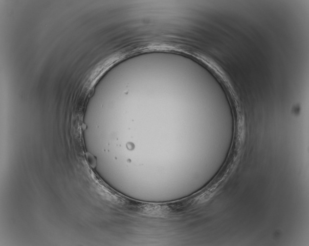 X0000115720809200912101427