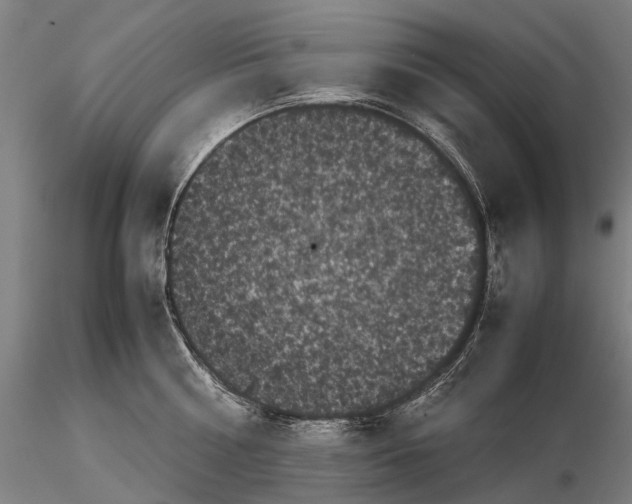 X0000115720810200912101427