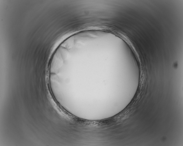 X0000115720811200912101427
