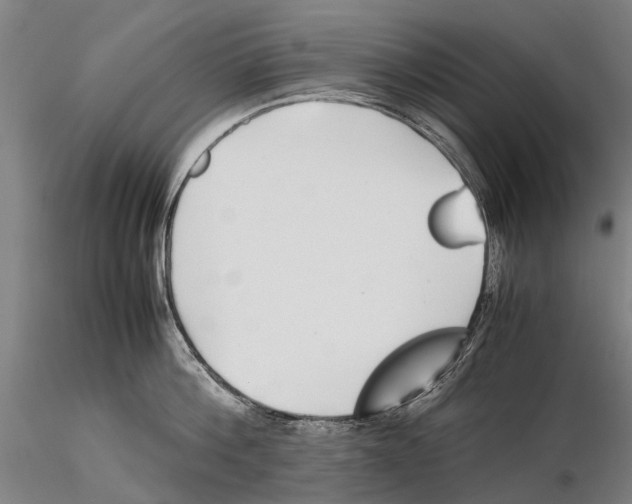 X0000115720812200912101427