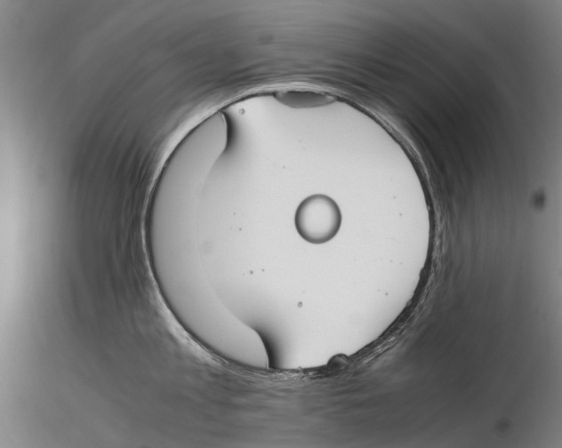 X0000115720813200912101427