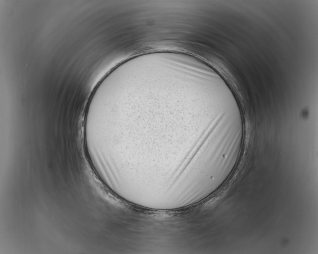 X0000115720814200912101427