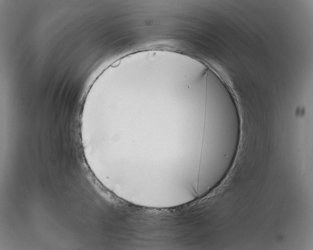 X0000115720816200912101427