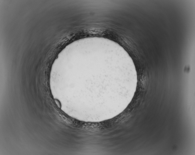 X0000115720817200912101426