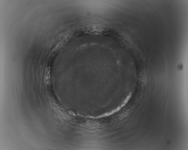 X0000115720818200912101426