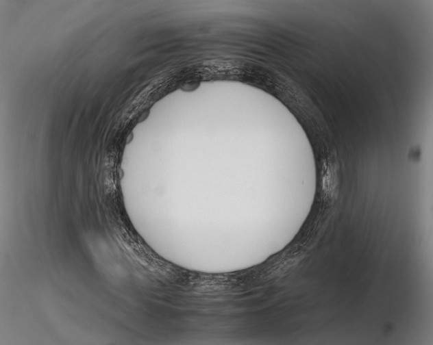 X0000115720819200912101426