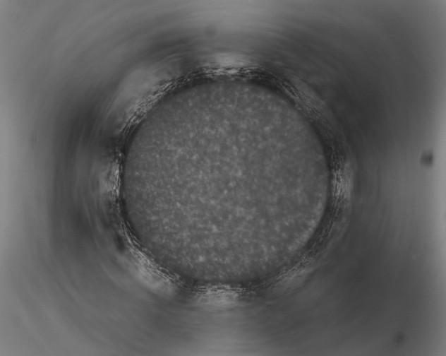 X0000115720820200912101426