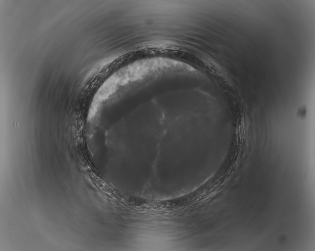 X0000115720822200912101426