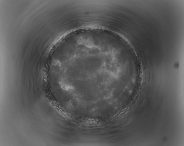 X0000115720823200912101426