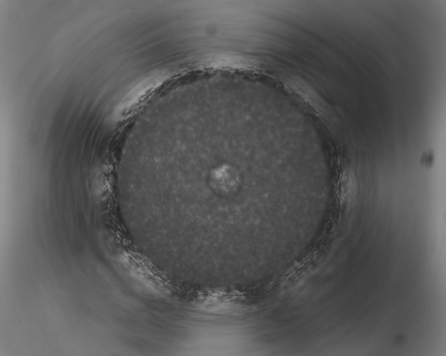 X0000115720824200912101426