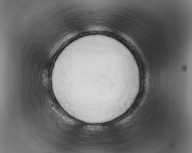 X0000115720825200912101426