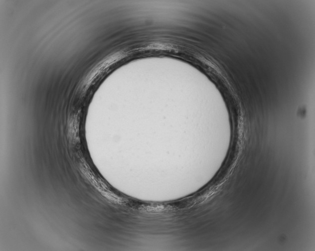 X0000115720826200912101426