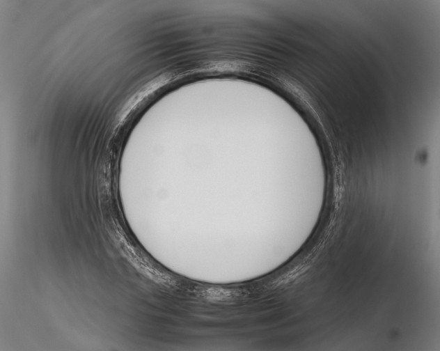 X0000115720827200912101426