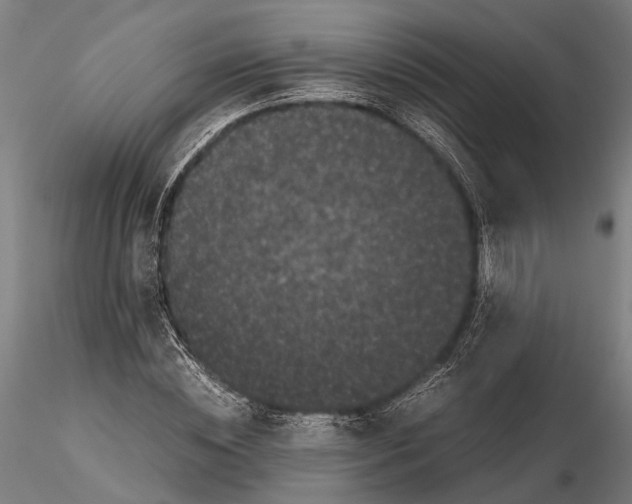X0000115720828200912101426