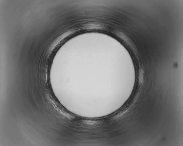 X0000115720829200912101426