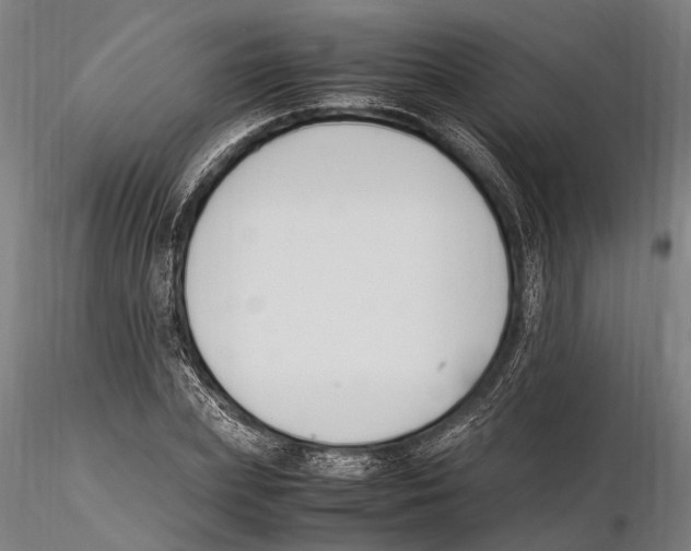 X0000115720831200912101426