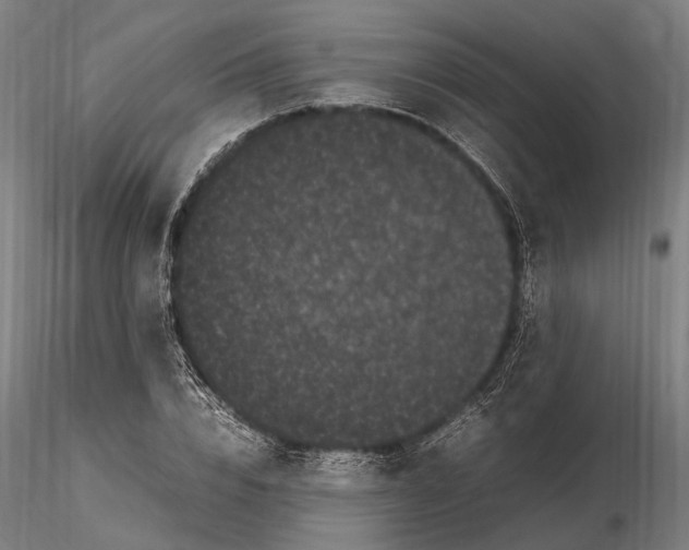 X0000115720832200912101426
