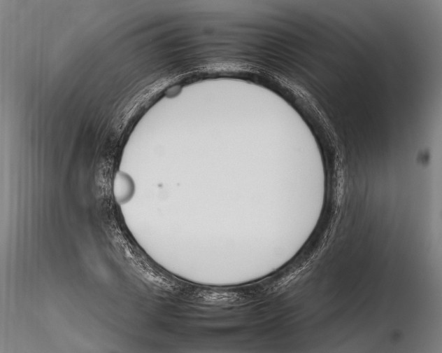X0000115720833200912101426