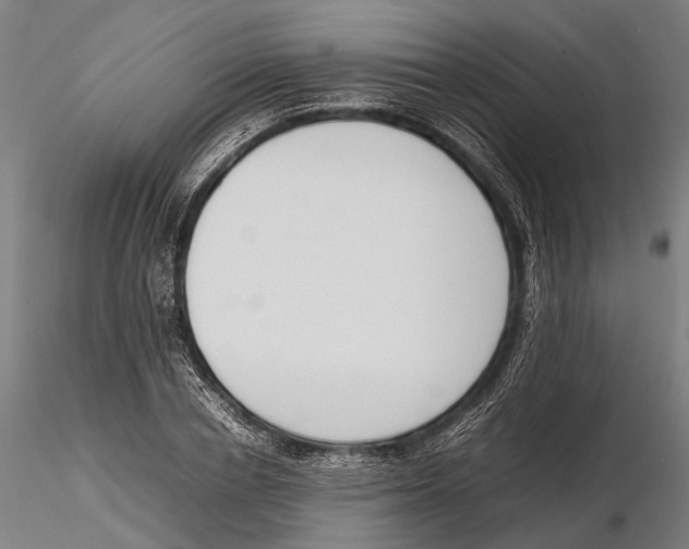 X0000115720834200912101426