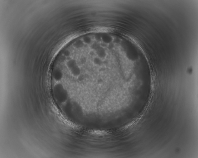 X0000115720835200912101426