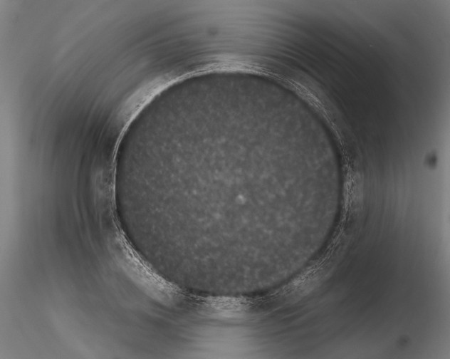 X0000115720836200912101426