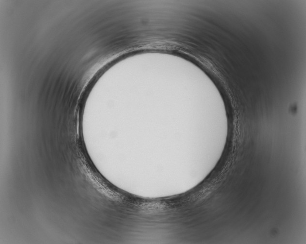 X0000115720838200912101426