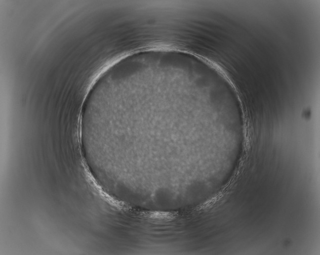 X0000115720839200912101426
