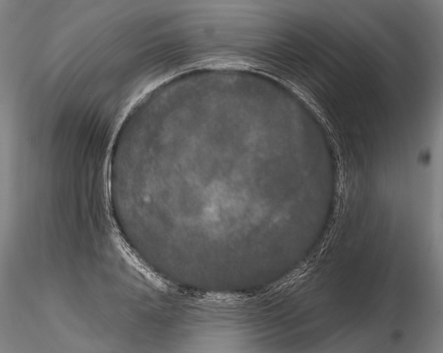 X0000115720840200912101426