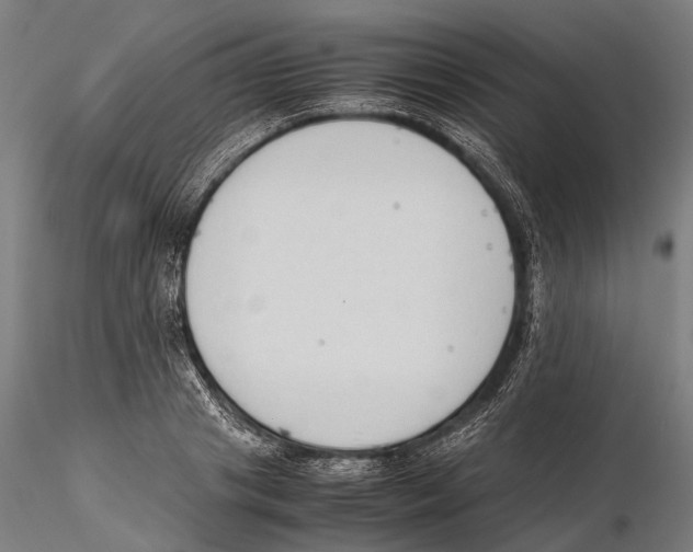X0000115720841200912101426
