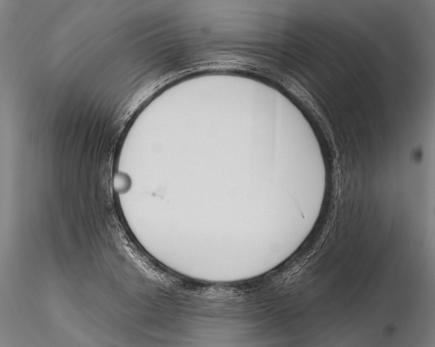 X0000115720842200912101426