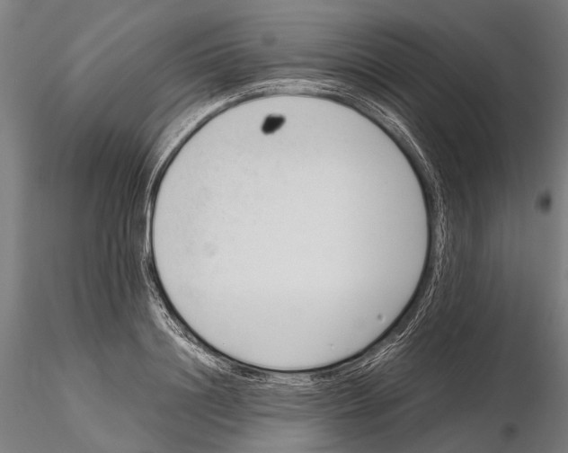 X0000115720844200912101426