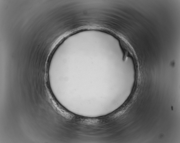 X0000115720845200912101426