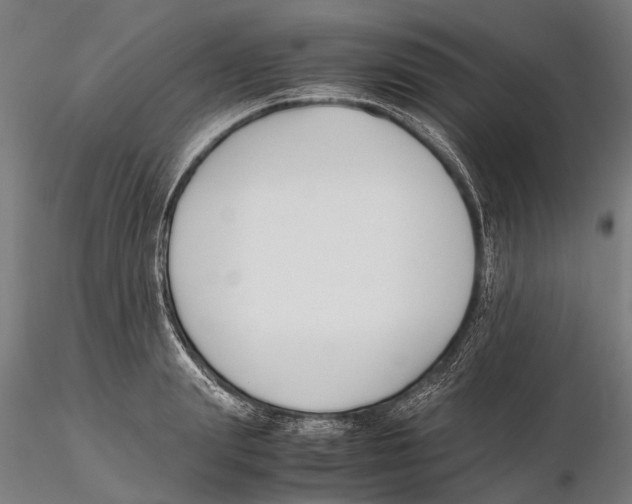 X0000115720847200912101426