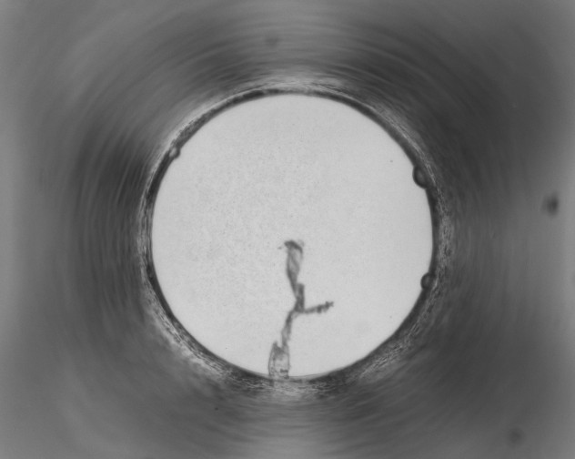 X0000115720848200912101426