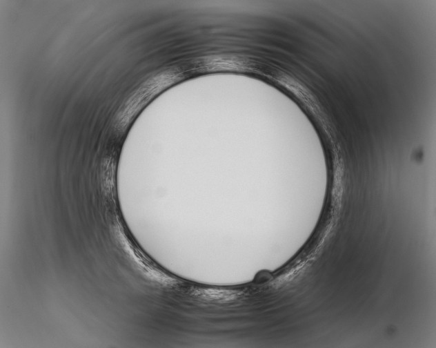 X0000115720849200912101427