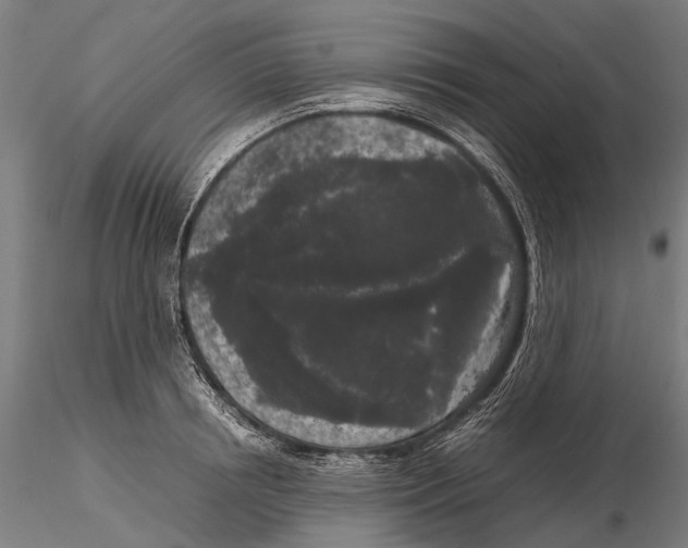 X0000115720850200912101427