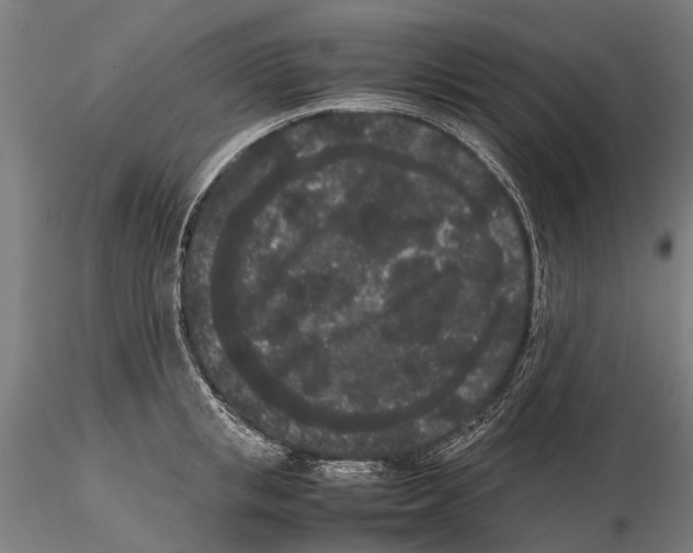 X0000115720853200912101427