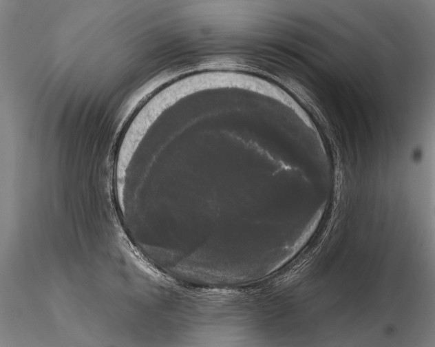 X0000115720854200912101427