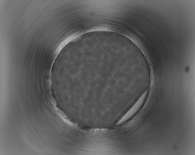 X0000115720858200912101427