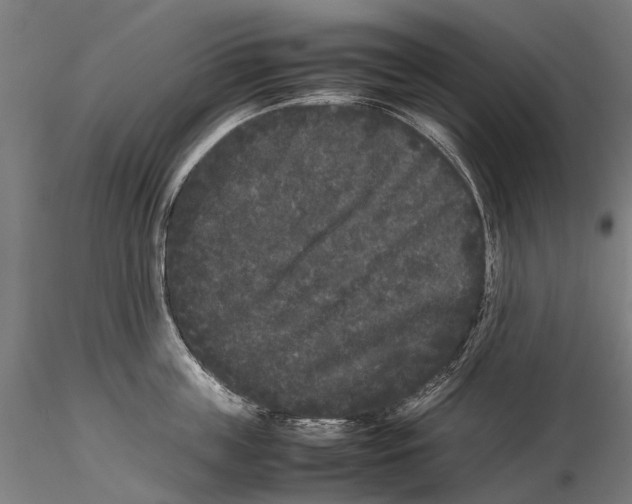 X0000115720859200912101427