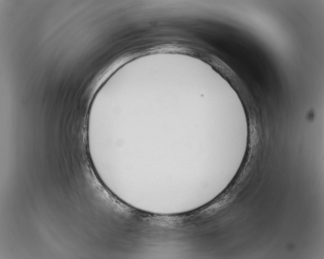 X0000115720860200912101427