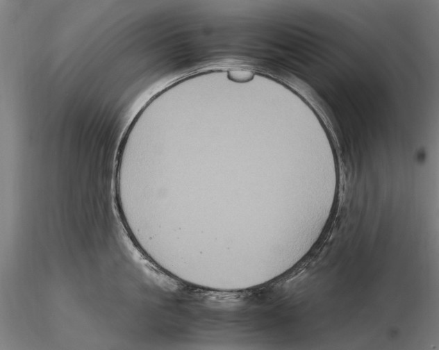 X0000115720861200912101427