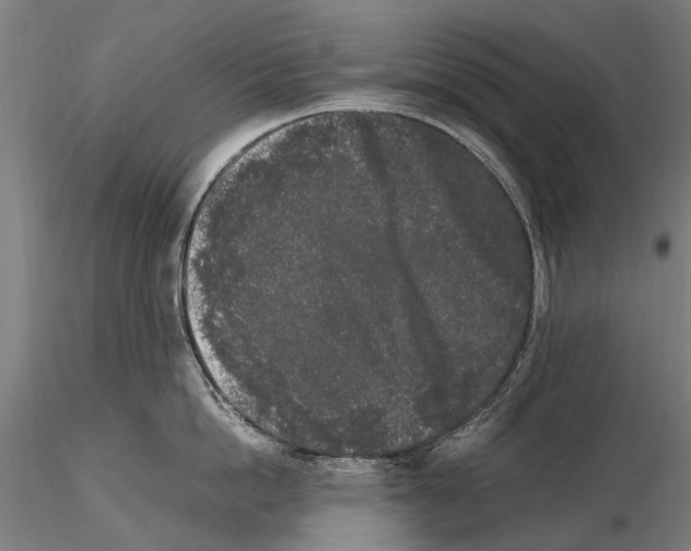 X0000115720862200912101427