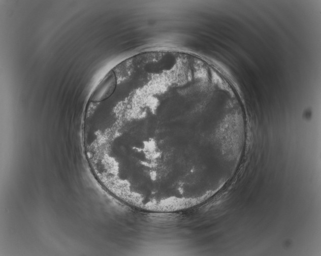 X0000115720863200912101427