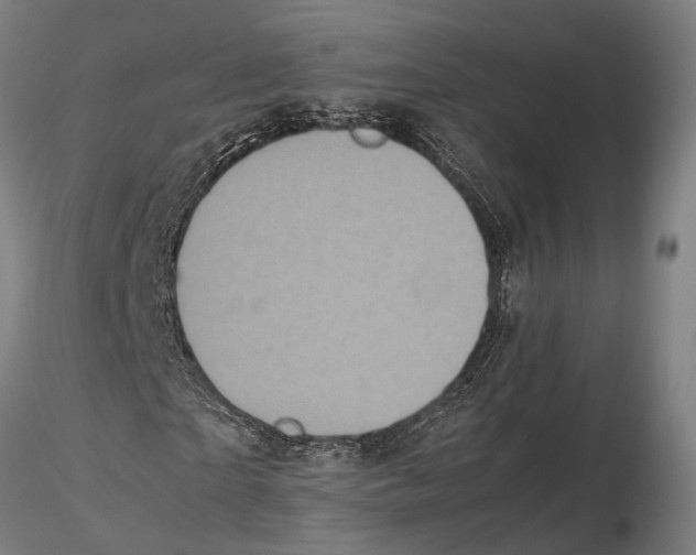 X0000115720865200912101426