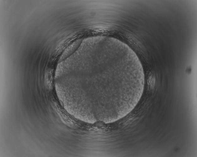 X0000115720868200912101426
